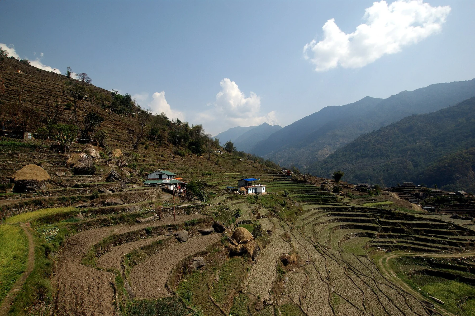 Cultivated terraces and hills between settlements on the Ghandruk approach